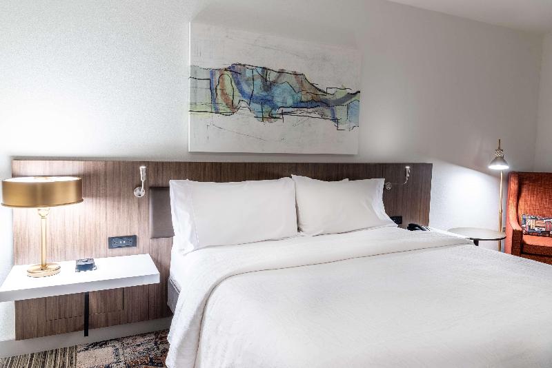 스탠다드 룸 킹사이즈 침대, Hilton Garden Inn North Little Rock