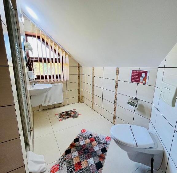 اتاق استاندارد سه نفره, Pensiunea Andias