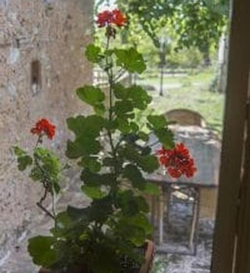 带大床的高级房间, Agriturismo Poggio Ai Legni
