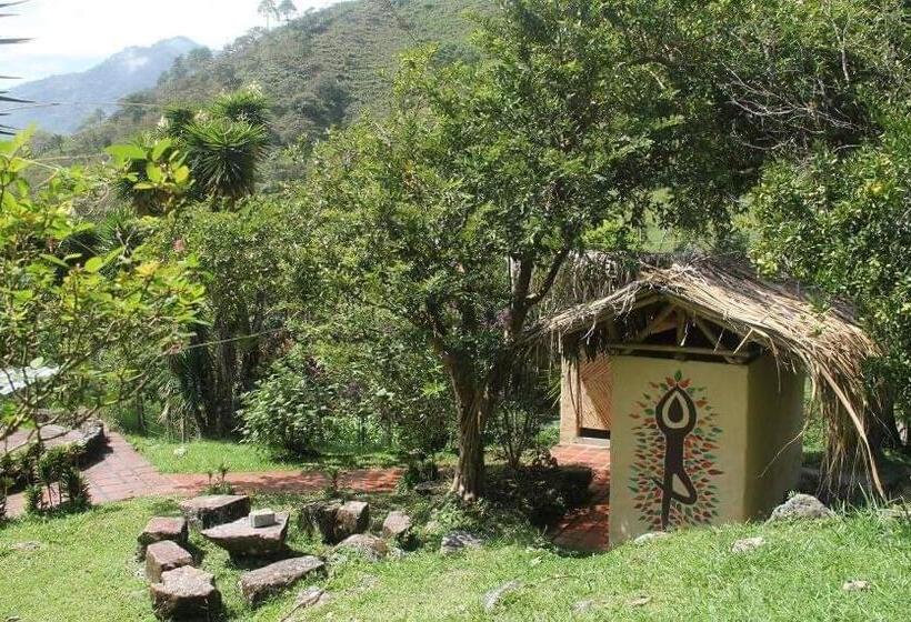 Cameră Familiar cu Baie în Comun, Hospedaje Pance Arí Munani Reserva Natural
