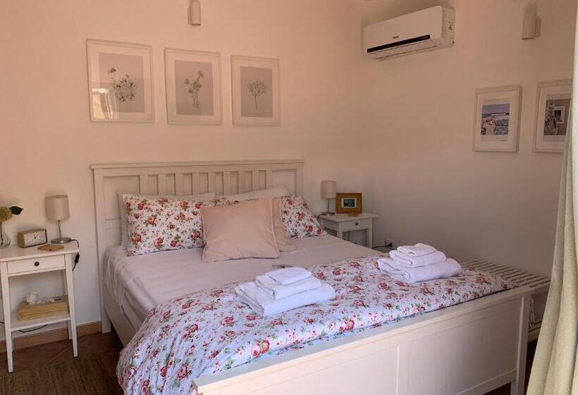 Standard room with outdoor bath, Pizzo Central House