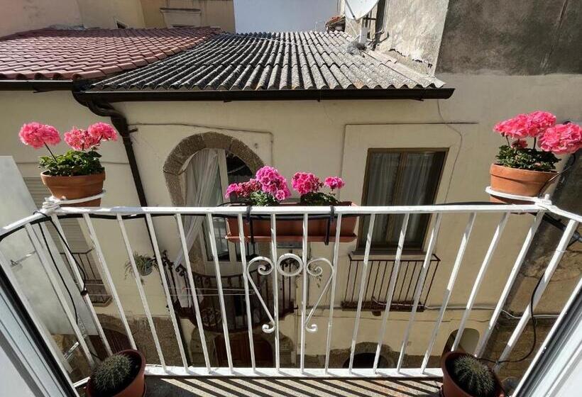 Номер Стандарт, Pizzo Central House