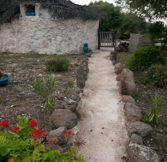 غرفة كلاسيكية رباعية, Ovile Juanne Loddo