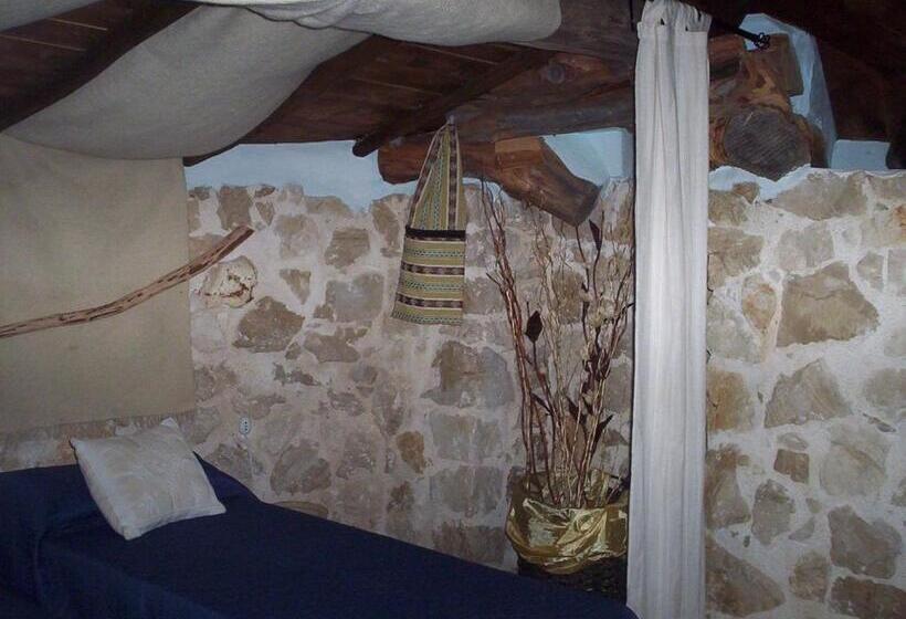 غرفة كلاسيكية رباعية, Ovile Juanne Loddo
