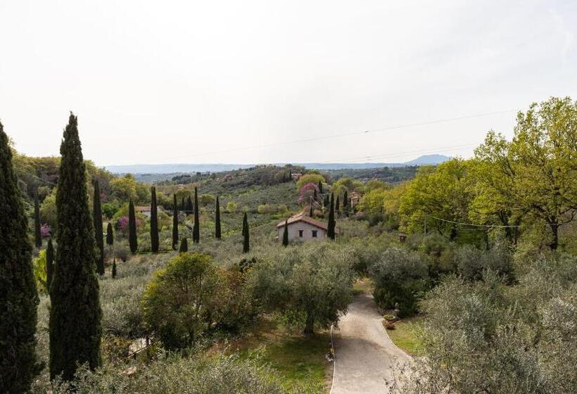 اتاق استاندارد با تراس, La Tana Delle Stelle B&b Di Charme E Relax
