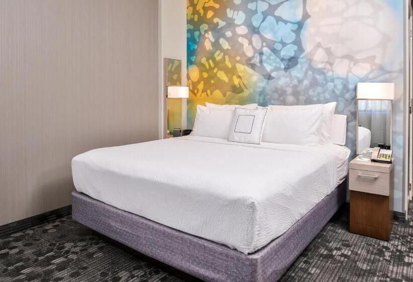 اتاق استاندارد با تخت بزرگ, Courtyard By Marriott Charlotte Northlake