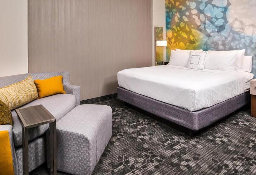 اتاق استاندارد با تخت بزرگ برای معلولان, Courtyard By Marriott Charlotte Northlake