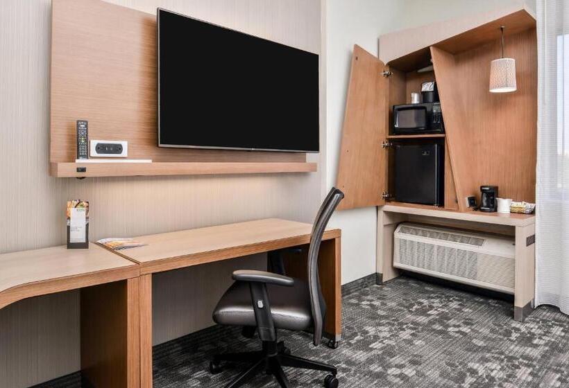 اتاق استاندارد با تخت بزرگ برای معلولان, Courtyard By Marriott Charlotte Northlake