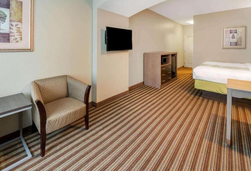 스탠다드 룸 킹사이즈 침대, La Quinta Inn & Suites By Wyndham Broussard   Lafayette Area