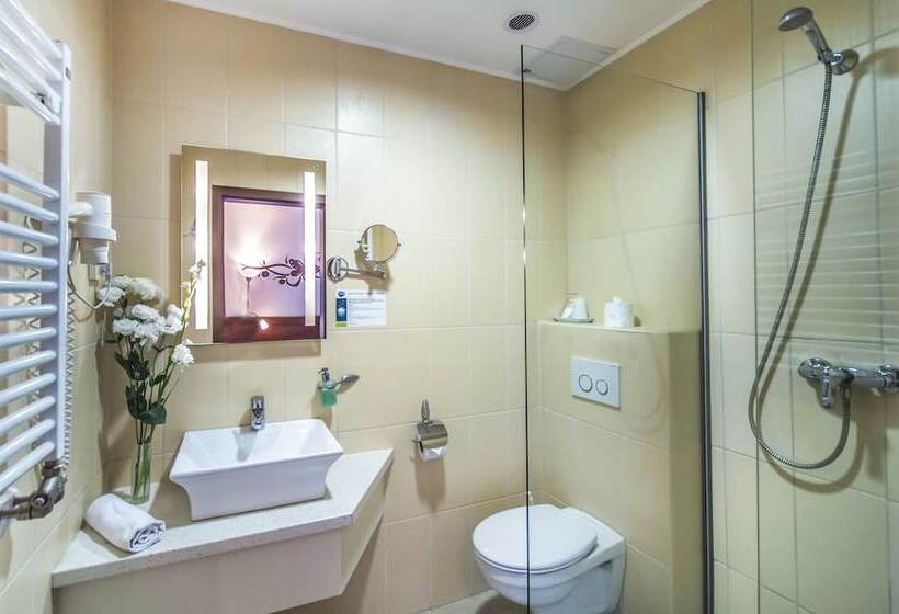 اتاق استاندارد, Patak Park Hotel Visegrád