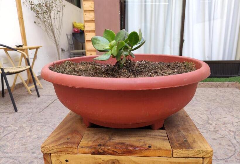 اتاق لوکس, Hostal Geosol