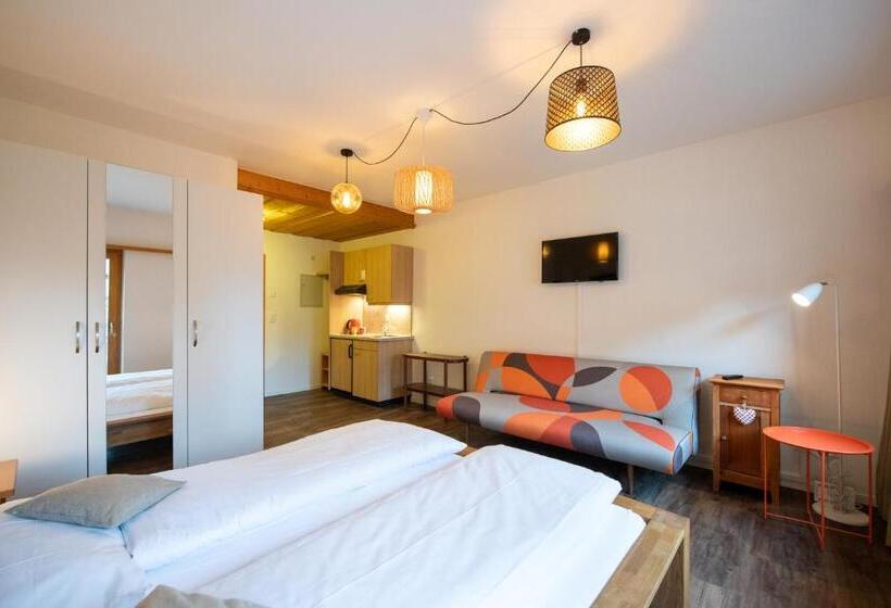 Студия Стандарт, Sportlodge Klosters