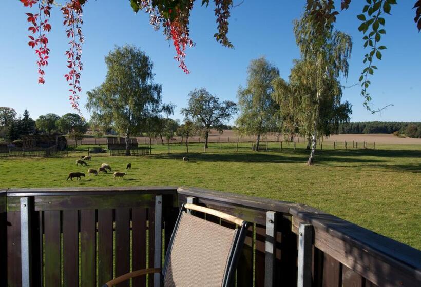 Номер Стандарт, Adler Golf& Tagungs