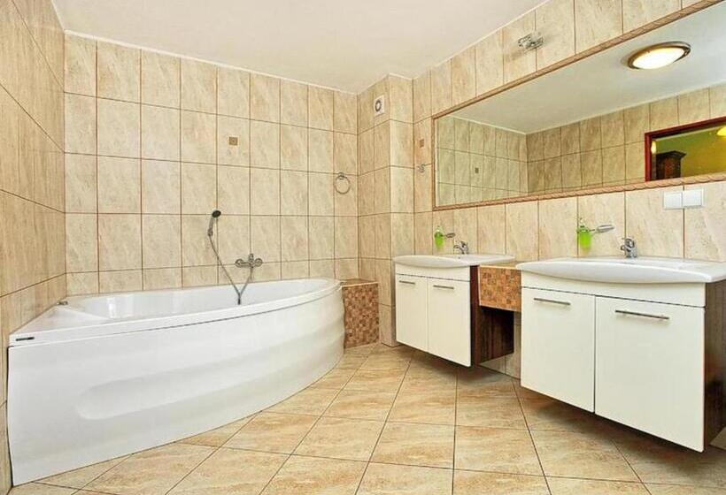 Номер Стандарт с Гидромассажем, Best Inn