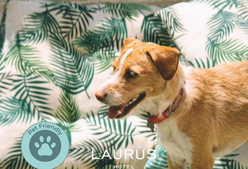 Номер Стандарт, Laurus