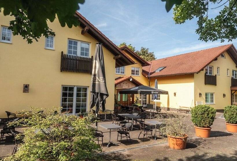 Номер Стандарт Индивидуальный, Restaurant Ancho
