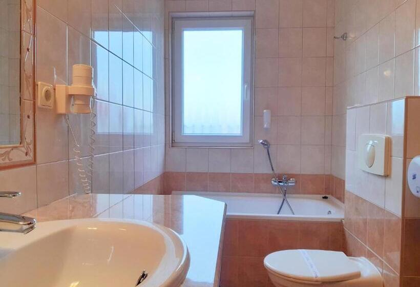 اتاق اکونومی, Sante Hévíz