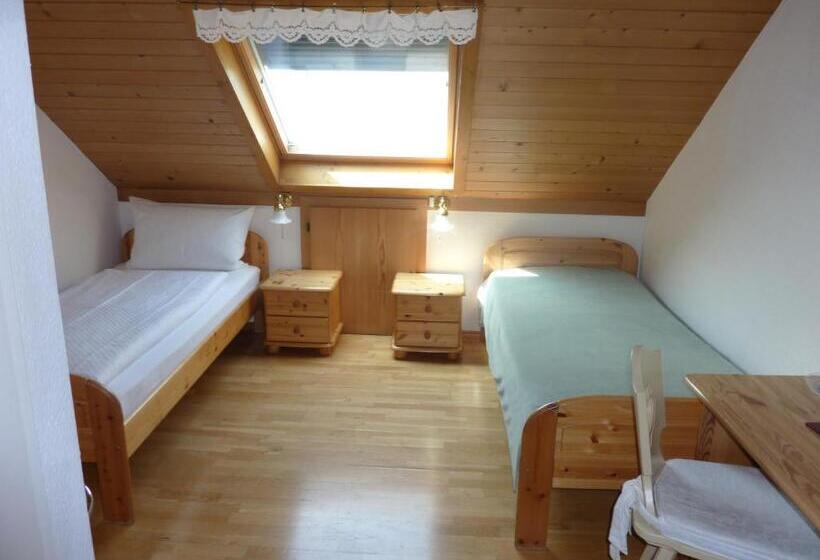이코노미 룸, Airport Hotel Fortuna