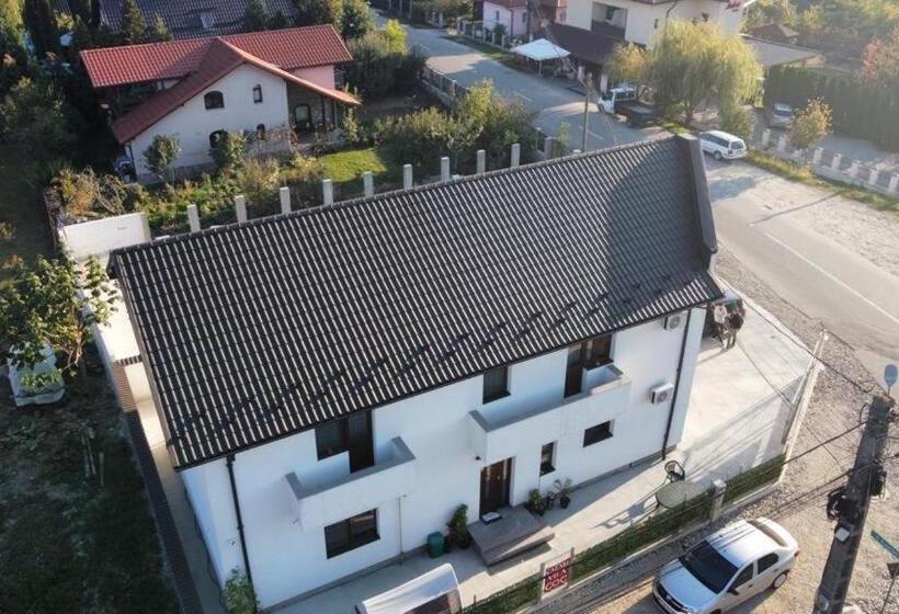 Номер Стандарт Трехместный, Cazare Vila Gog   Rm Valcea Salina Ocnele Mari