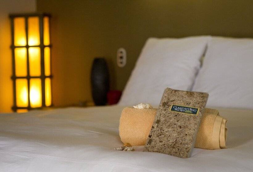 Quarto Deluxe, Clandestino Beach
