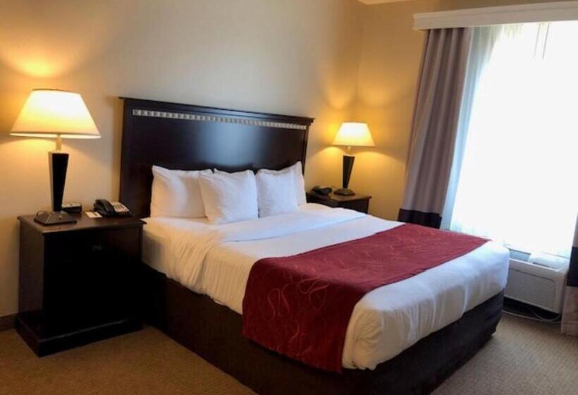 Люкс Адаптированный для Инвалидов, Comfort Suites