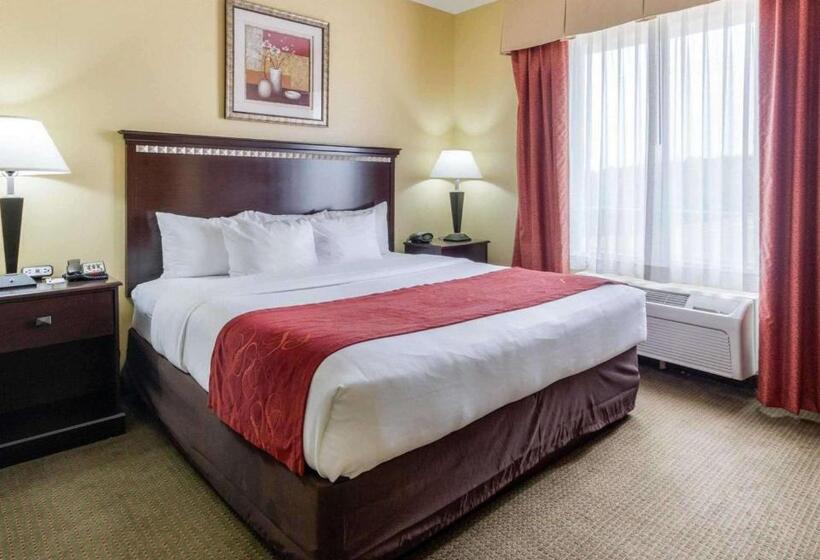 Люкс Адаптированный для Инвалидов, Comfort Suites