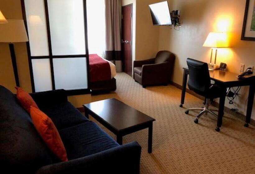 Люкс Кровать Кинг, Comfort Suites