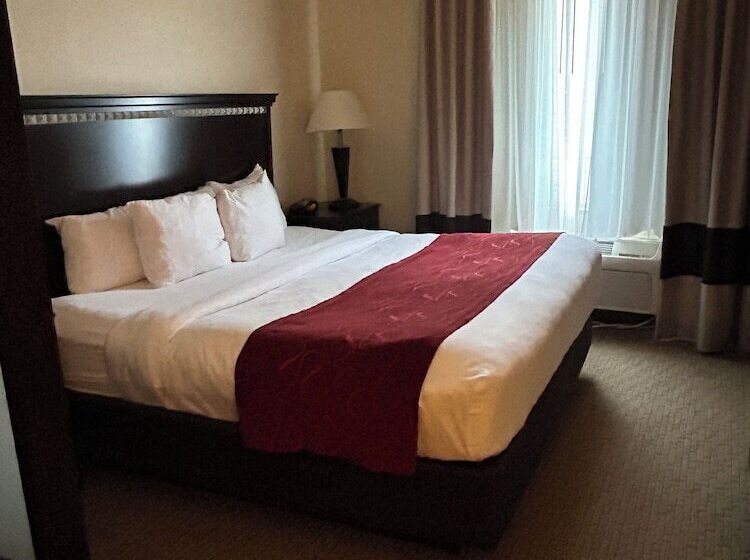 Люкс, Comfort Suites