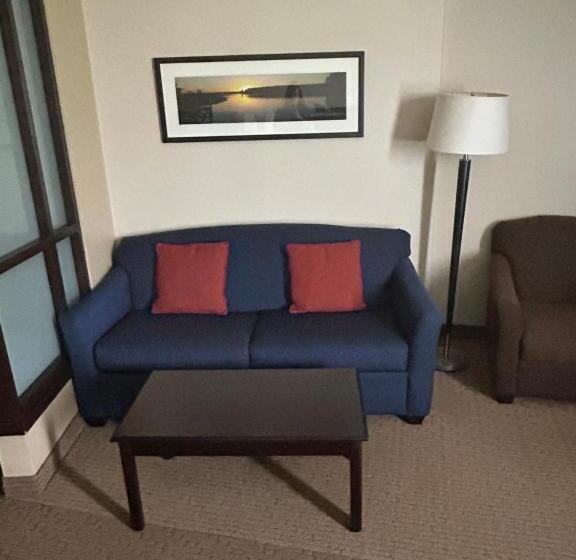 Люкс Адаптированный для Инвалидов, Comfort Suites