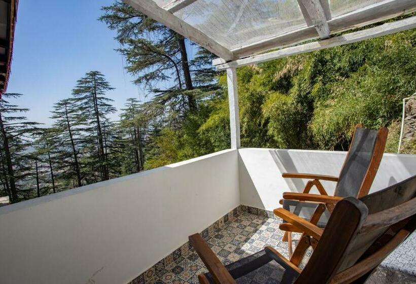Номер Стандарт, Seclude Shimla, Taraview
