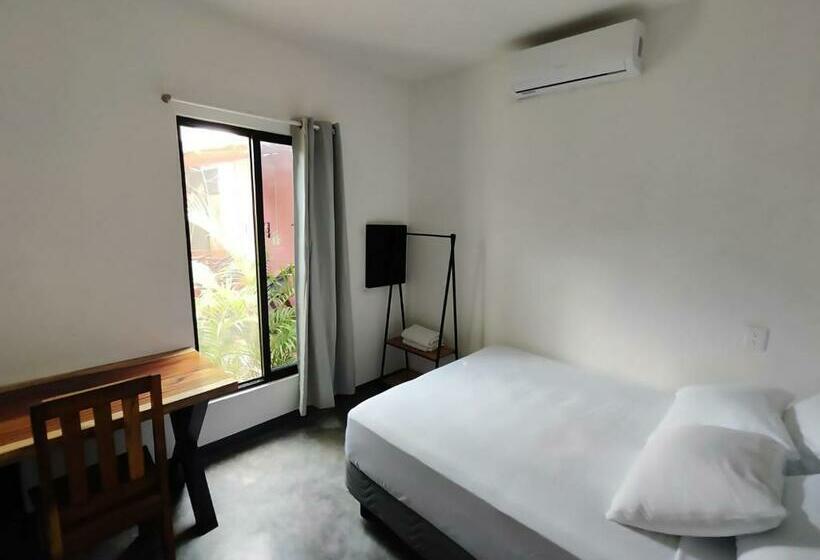 اتاق استاندارد با سرویس بهداشتی مشترک, New Friends Hostel & Bar Adults Only