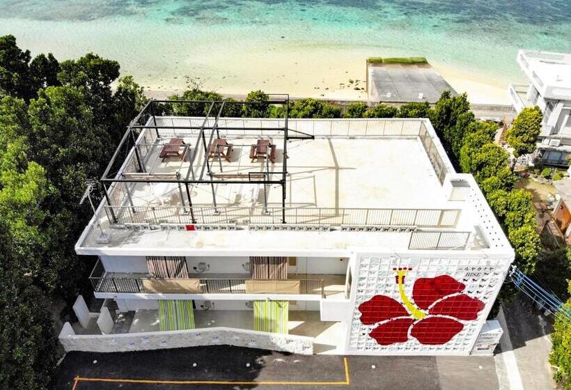 استودیوی استاندارد, Niruyakanaya Bise   Vacation Stay 58739v