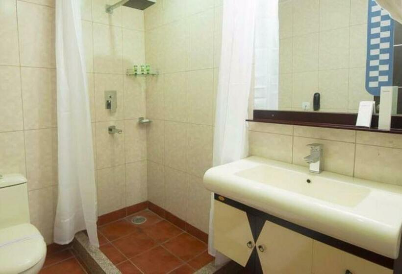 اتاق استاندارد, Zenith Mahipalpur   Free Parking