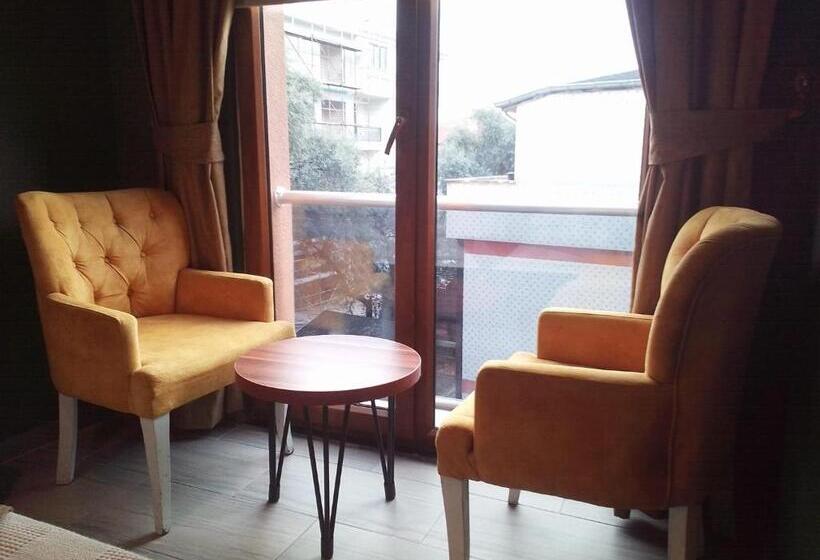 اتاق اکونومی, Trabzon Asel Suite Otel