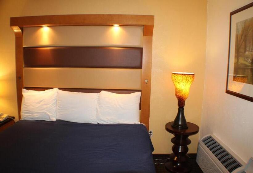 带大床的标准间, Americas Best Value Inn Geneva