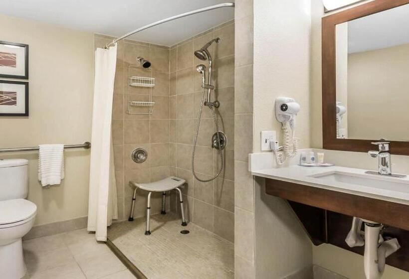Номер Стандарт, Country Inn & Suites By Radisson, St. Petersburg  Clearwater, Fl