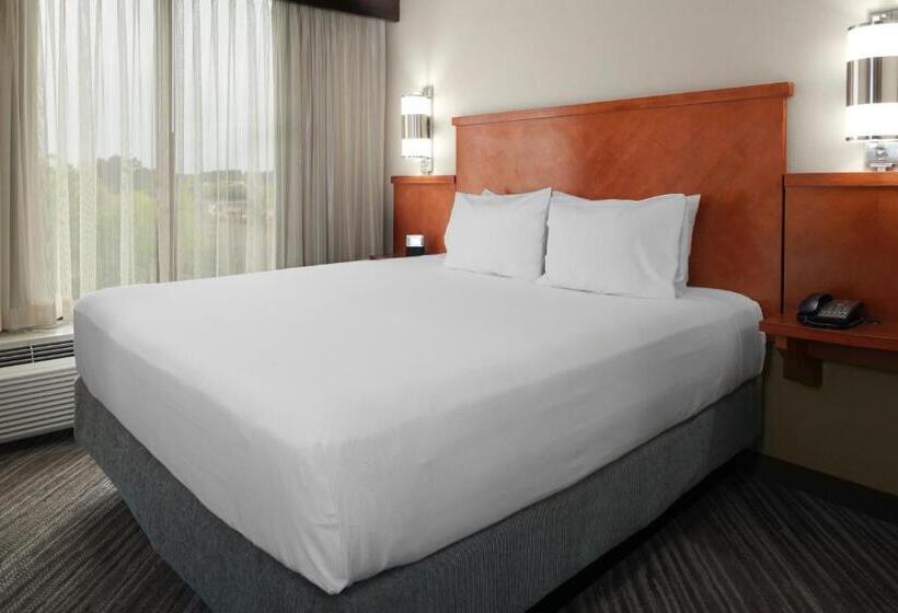 스탠다드 룸 킹사이즈 침대, Hyatt Place Lakeland Center