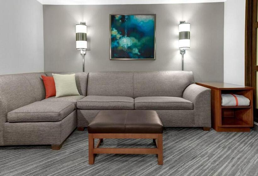 장애인을 위한 킹사이즈 침대 스탠다드 룸, Hyatt Place Lakeland Center