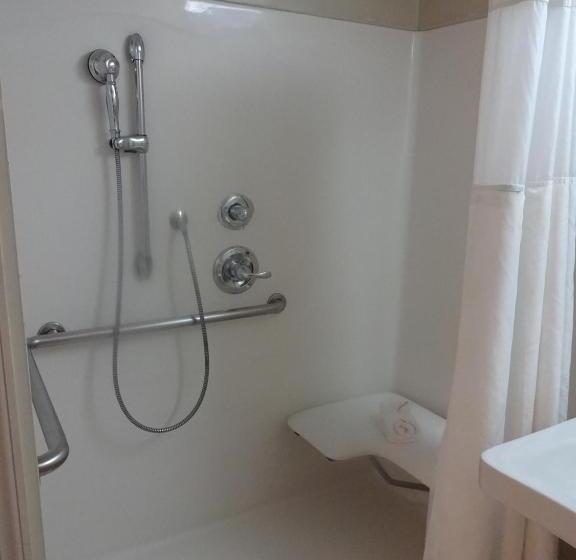장애인을 위한 스탠다드 룸, Ramada By Wyndham Staten Island