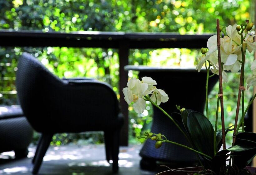 디럭스 스위트, Songbirds Rainforest Retreat
