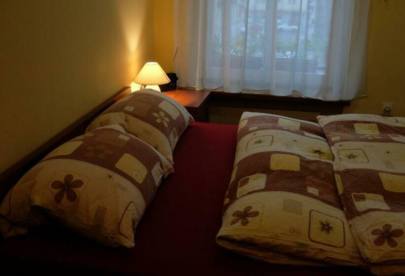 Quarto Estandar, Academus Pub & Guest House