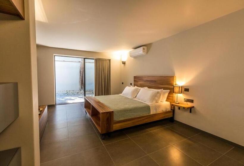 استودیو استاندارد با تراس, Casa Olié