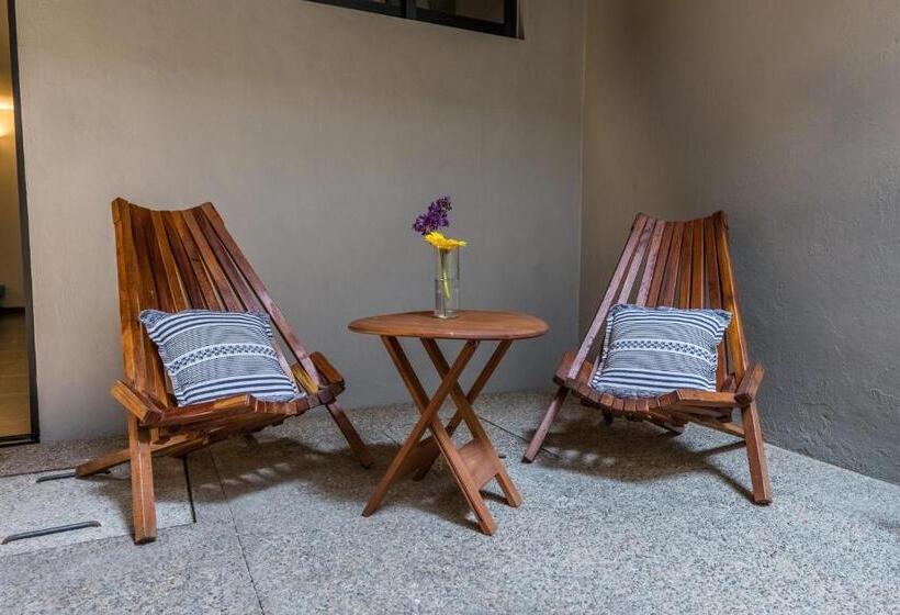 استودیو استاندارد با تراس, Casa Olié