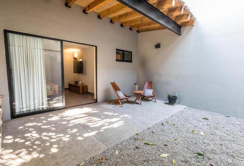 استودیو استاندارد با تراس, Casa Olié