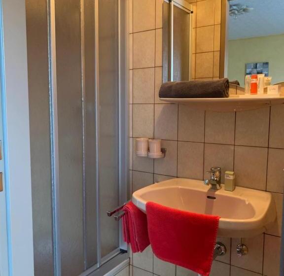 Номер Стандарт Индивидуальный с Балконом, Appartements Gästehaus Schrott