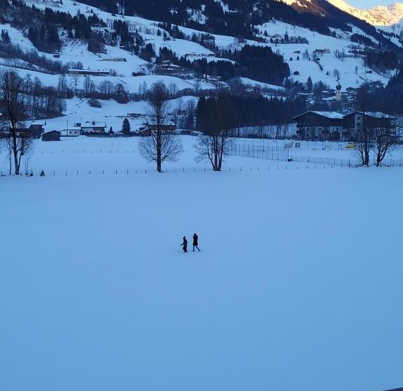 سوئیت جونیور خانوادگی, Ferienhotel Alpenhof