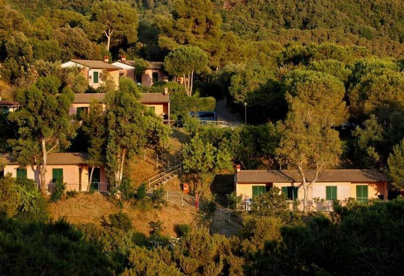 کلبه ییلاقی, Camping Village Rosselba Le Palme