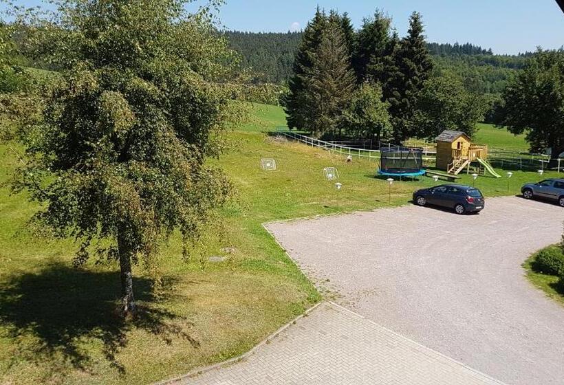 Апартаменты 1 Спальня с Балконом, Landhotel Bartlehof