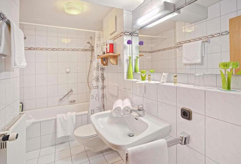 Номер Стандарт, Berg  Und Aktivhotel Edelsberg