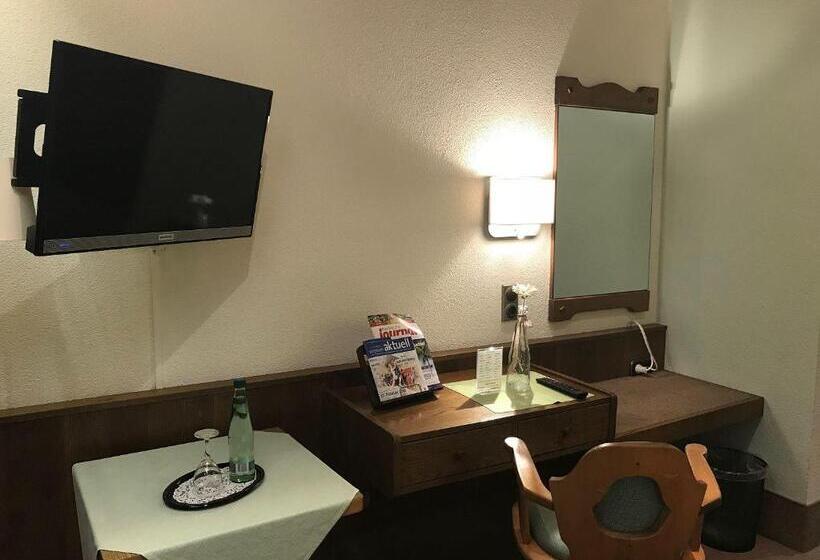 Номер Стандарт Индивидуальный, Gasthof & Hotel Goldener Hirsch
